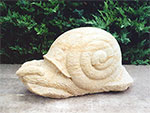 Schnecke